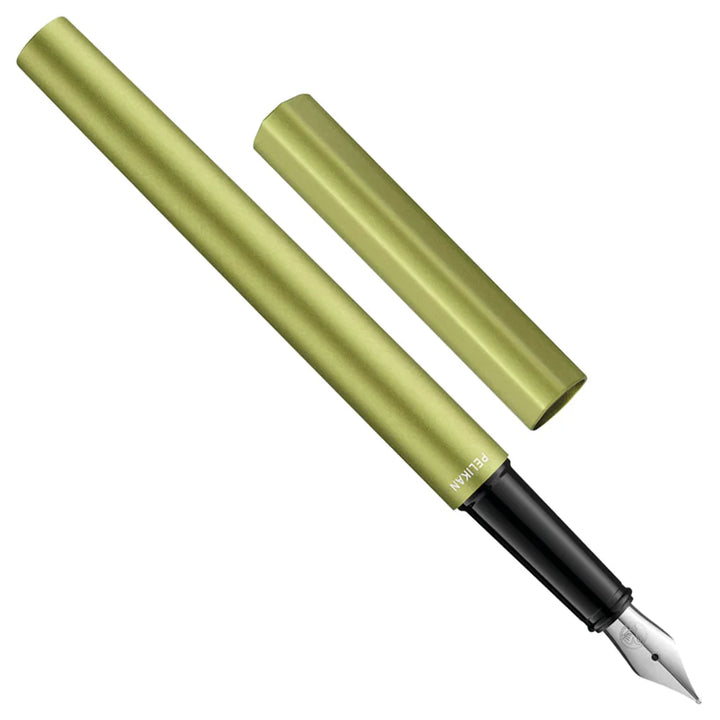 Pelikan INEO Elements Green Oasis Fountain Pen